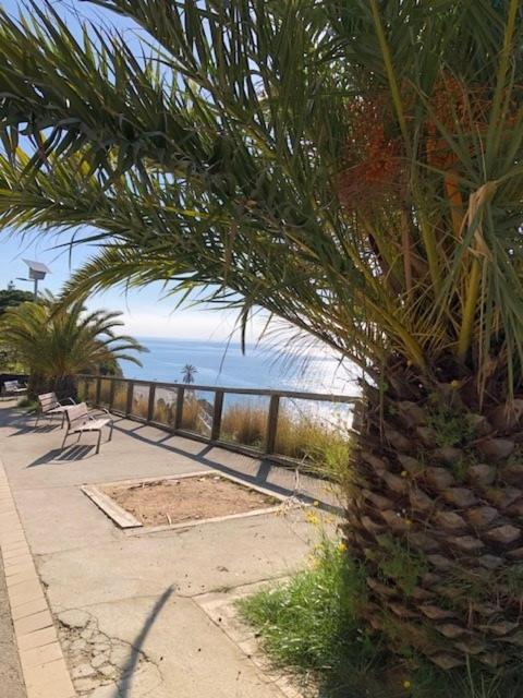קאללה The Hollidays Apartment מראה חיצוני תמונה